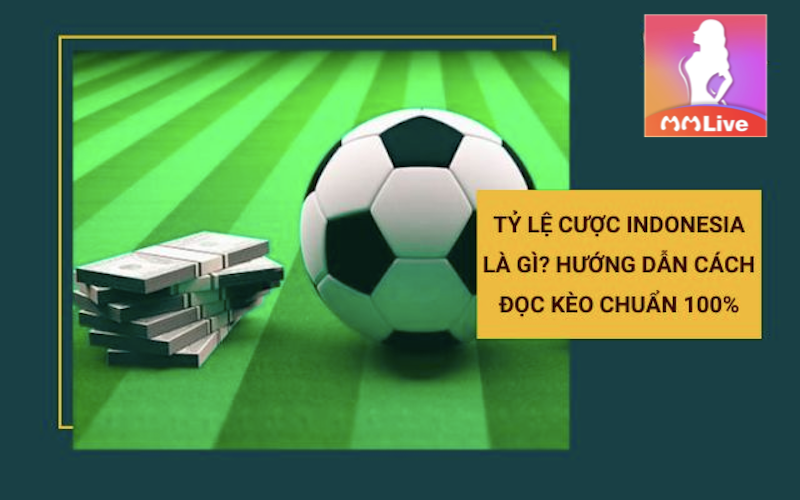 đọc kèo Indonesia
