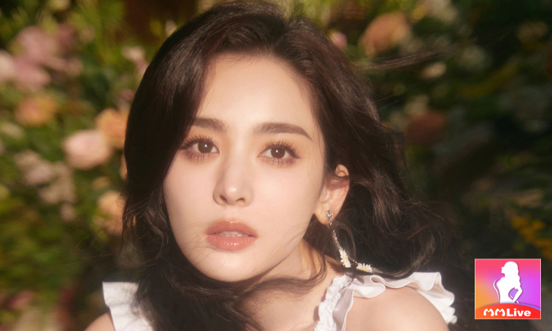 bình hoa di động