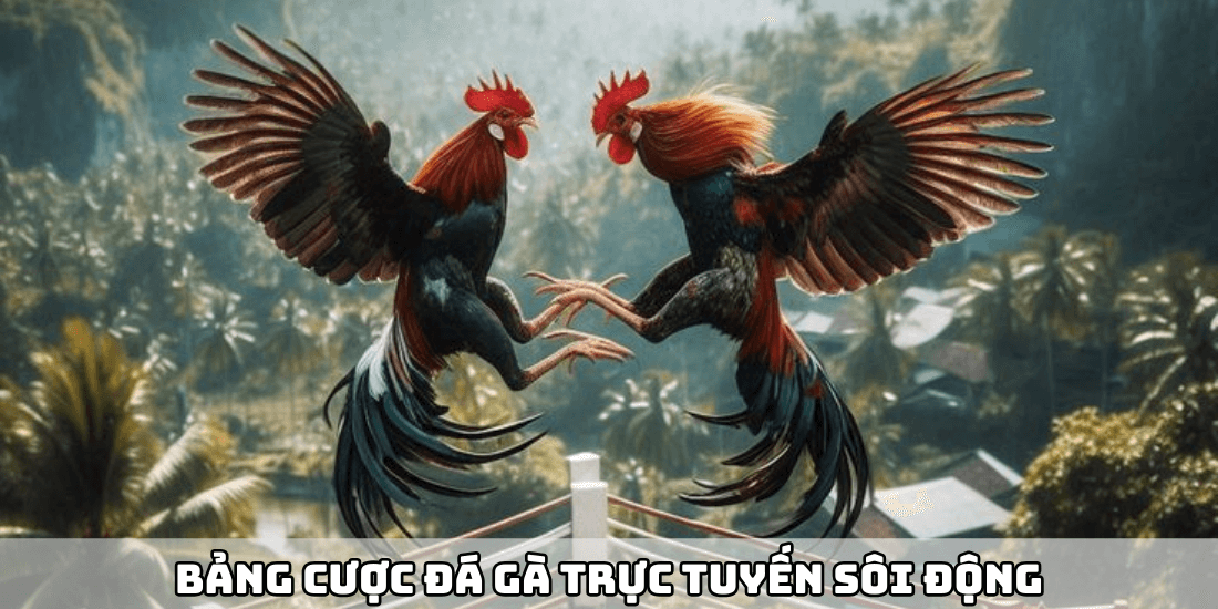 Bảng cược đá gà trực tuyến sôi động trên Rikvip