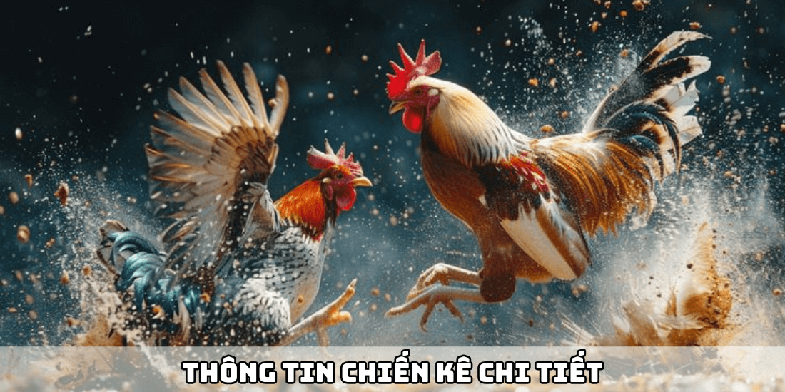 Thông tin chiến kê chi tiết trên giao diện Rikvip